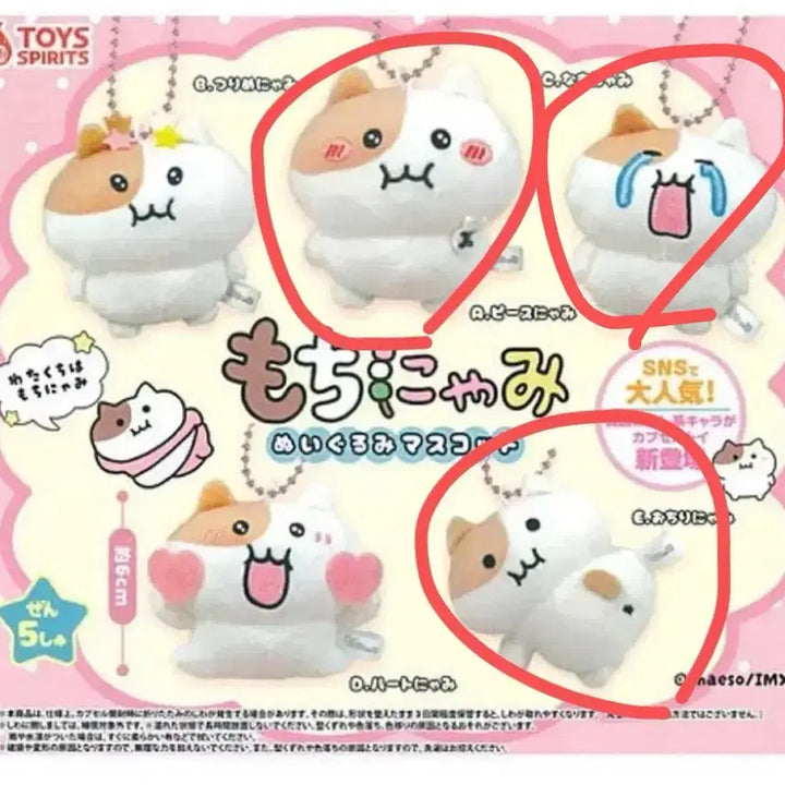 [BUNJANG] Jjonnyami Doll Gacha Toy / 쫀냐미 인형 가챠