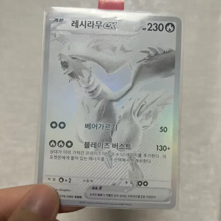 [BUNJANG] Charizard BWR Pokemon Card / 포켓몬 카드 레시라무 bwr
