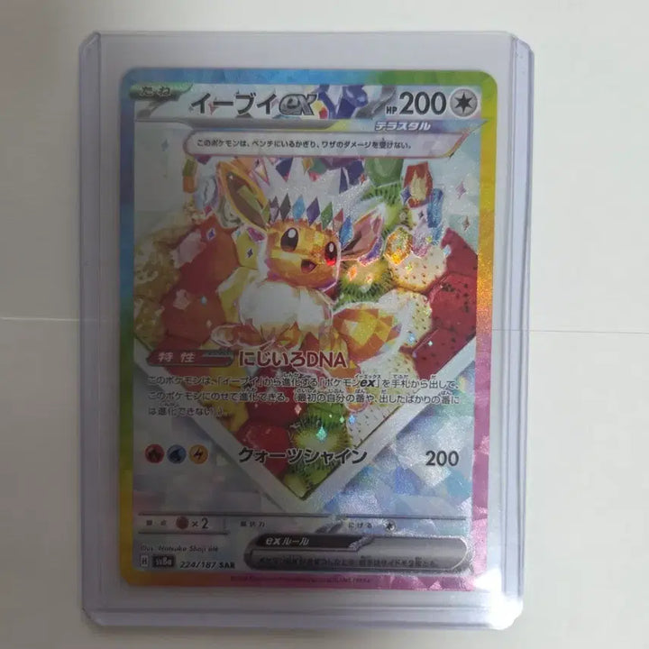 [BUNJANG] Pokemon Card Eevee SAR Perastal Festa Japanese / 포켓몬카드 일판 이브이 sar 페라스탈페스타