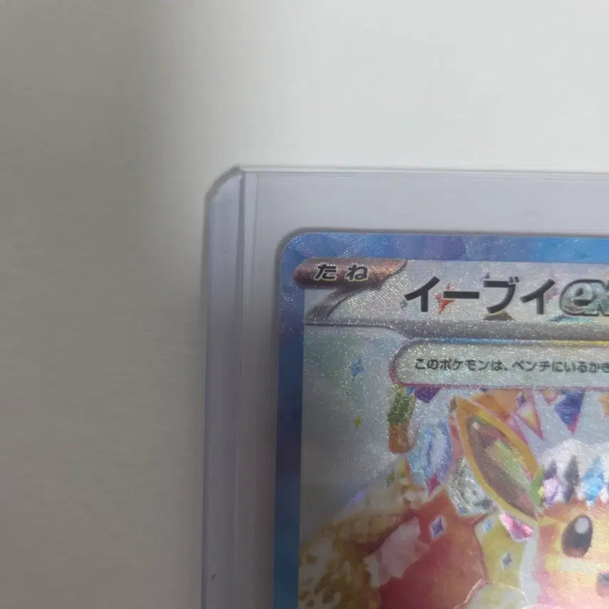 [BUNJANG] Pokemon Card Eevee SAR Perastal Festa Japanese / 포켓몬카드 일판 이브이 sar 페라스탈페스타