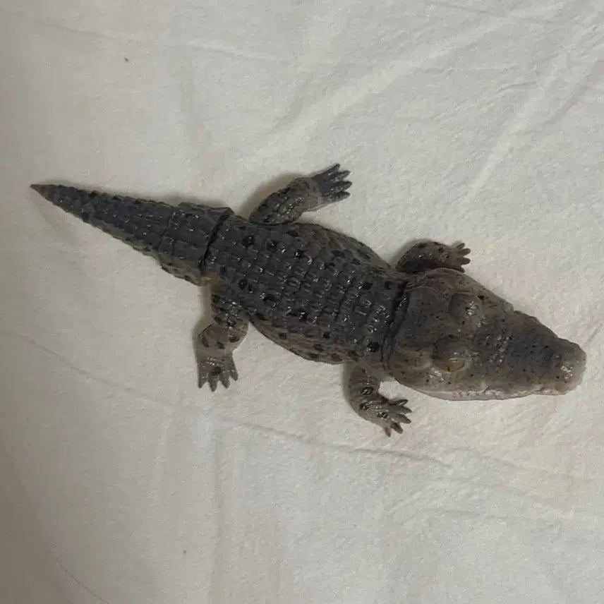 [BUNJANG] Bandai Bio-Attack Crocodile Gacha Figure / 반다이 생물대도감 악어 가챠