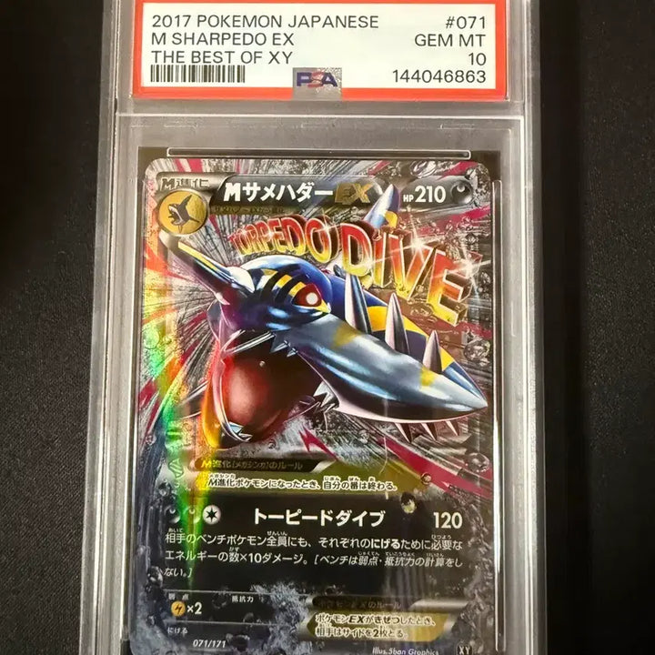 [BUNJANG] Pokemon Card XY Mega Sharpedo PSA 10 Japanese / 포켓몬카드 M샤크니아EX PSA10