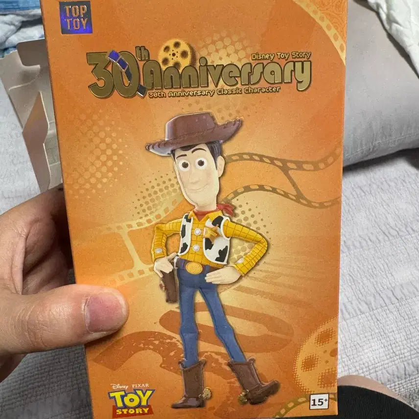 [BUNJANG] Toy Story 30th Anniversary Woody &amp; Buzz Figures Set / 토이 스토리 30주년 피규어 우디, 버즈