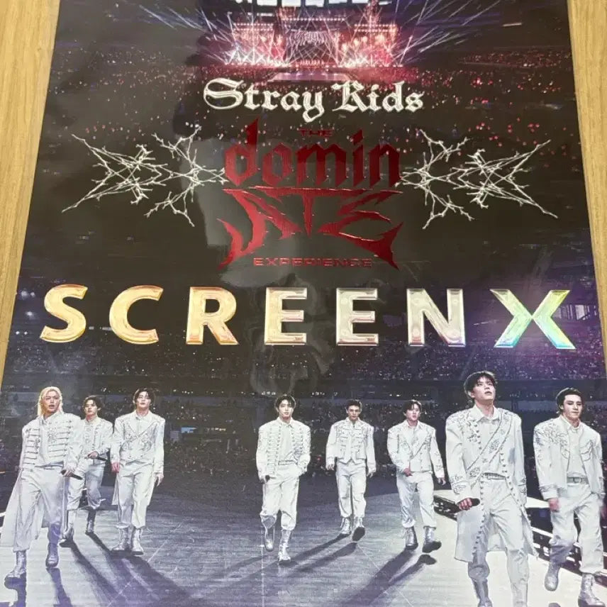 [BUNJANG] Stray Kids Movie Poster / 스키즈 영화 특전 포스터