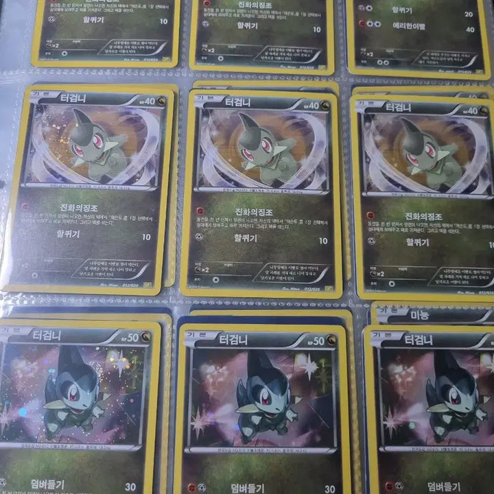 [BUNJANG] Pokemon Go 2013 Ancient Cards Dragon Collection - Gible Evolution Set / 포켓몬 고대카드2013 (드래곤컬랙션) 터검니 진화 전종