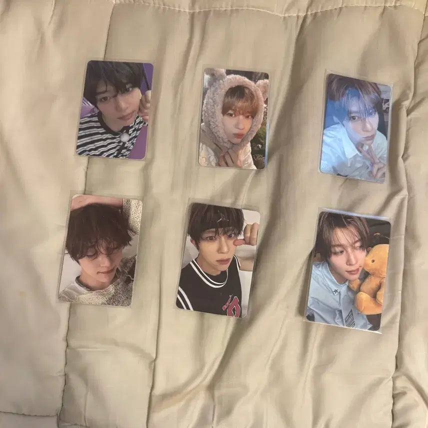 [BUNJANG] NCT WISH Sion Steady Photocard / 급처 엔시티위시 엔위시 시온 스테디 포카위시미공포유우시리쿠사쿠야료재희