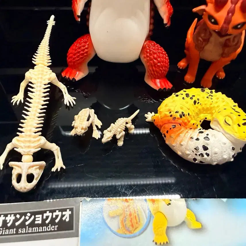 [BUNJANG] Assorted Reptile Figurines Bundle Set (Skeleton, Bearded Dragon, Leopard Gecko) / 스켈레톤, 비어디 드래곤, 레오파드 게코 등 피규어 일괄