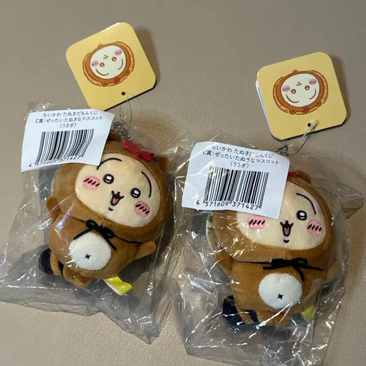 [BUNJANG] Chiikawa Usagi Tanuki Kuji C Prize (Sealed) / 미개봉 정품) 치이카와 우사기 너구리 쿠지 C상