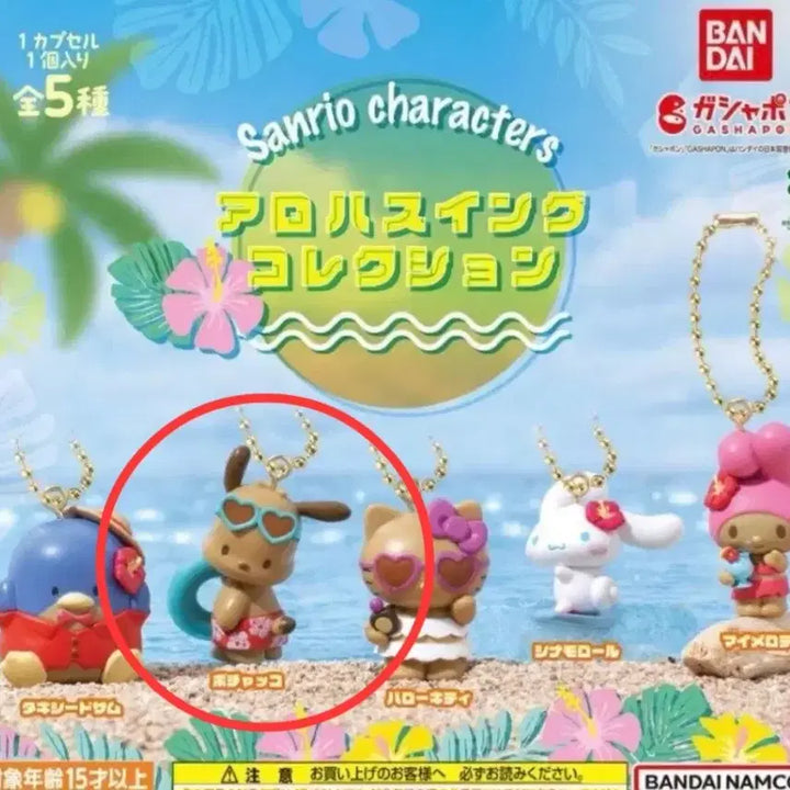 [BUNJANG] Sanrio Aloha Swing Badatanning POCHACCO Gacha / 산리오 알로하 스윙 바다 태닝 포차코 가챠