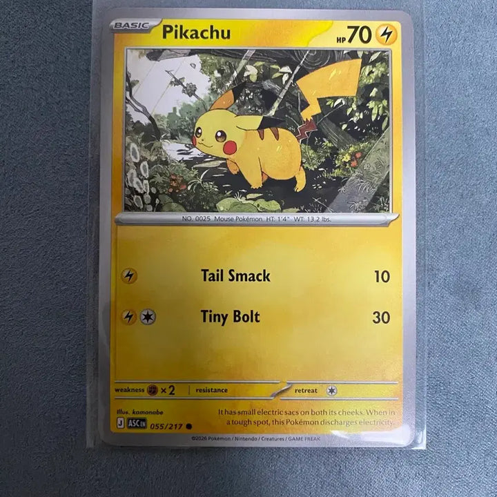 [BUNJANG] Pokemon TCG North America Pikachu 055/217 / [영판] 포켓몬카드 북미 피카츄 055/217(상태최상)