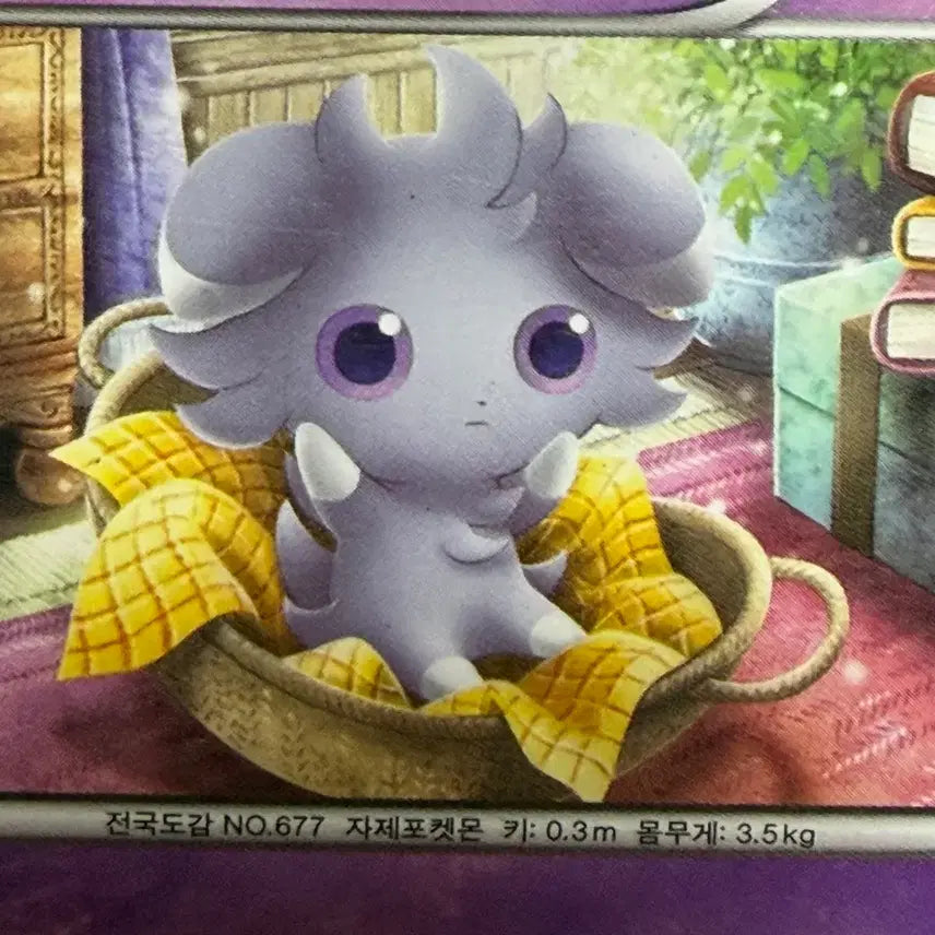 [BUNJANG] Pokemon Card / 냐스퍼 포켓몬카드