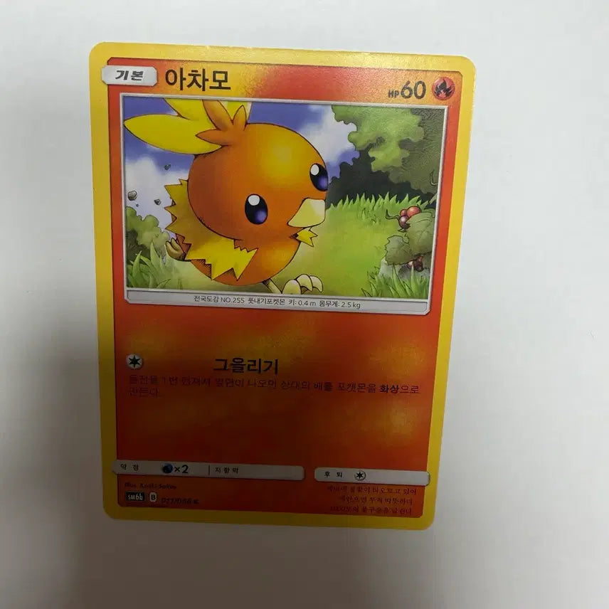 [BUNJANG] Pokemon Card Torchic / 아차모 포켓몬카드