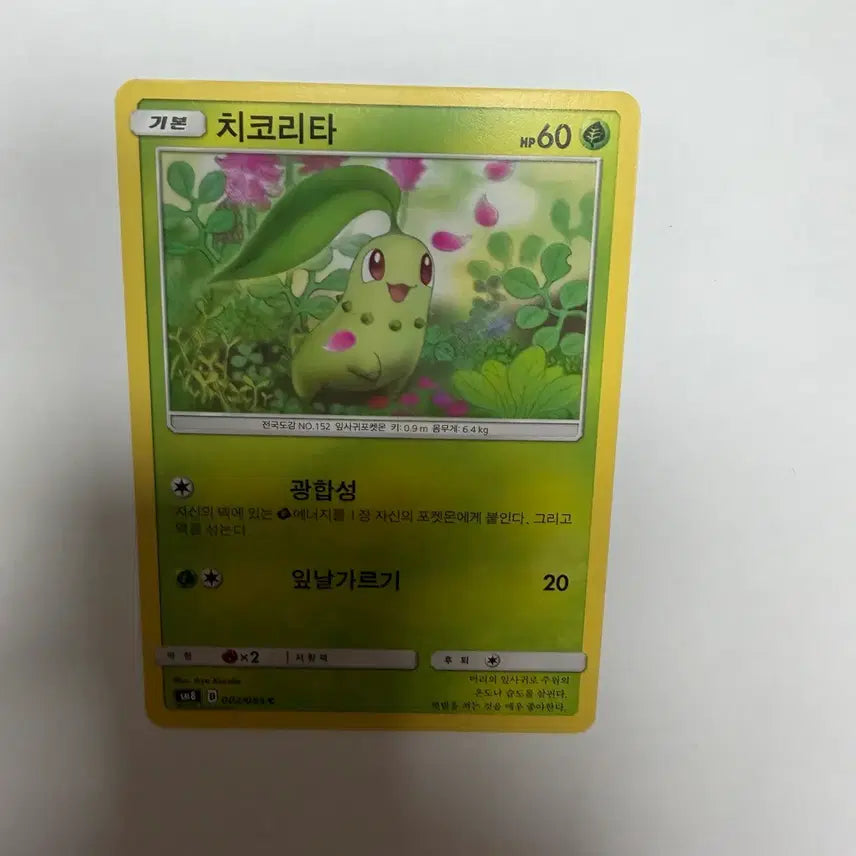 [BUNJANG] Chikorita Pokémon Card / 치코리타 포켓몬카드