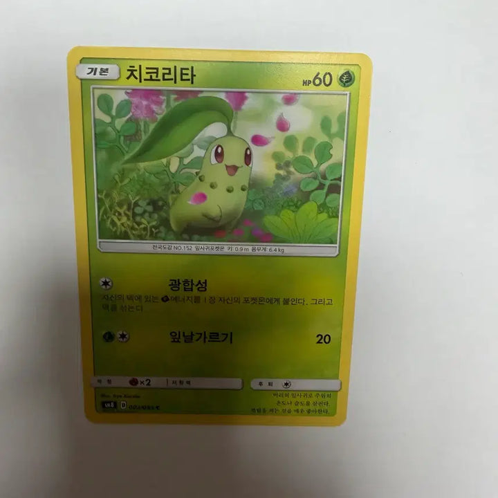 [BUNJANG] Chikorita Pokémon Card / 치코리타 포켓몬카드