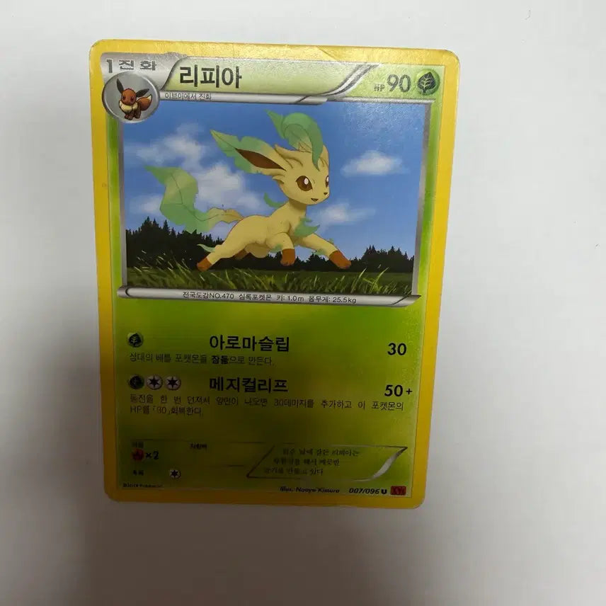 [BUNJANG] Lippia Pokemon Card / 리피아 포켓몬카드