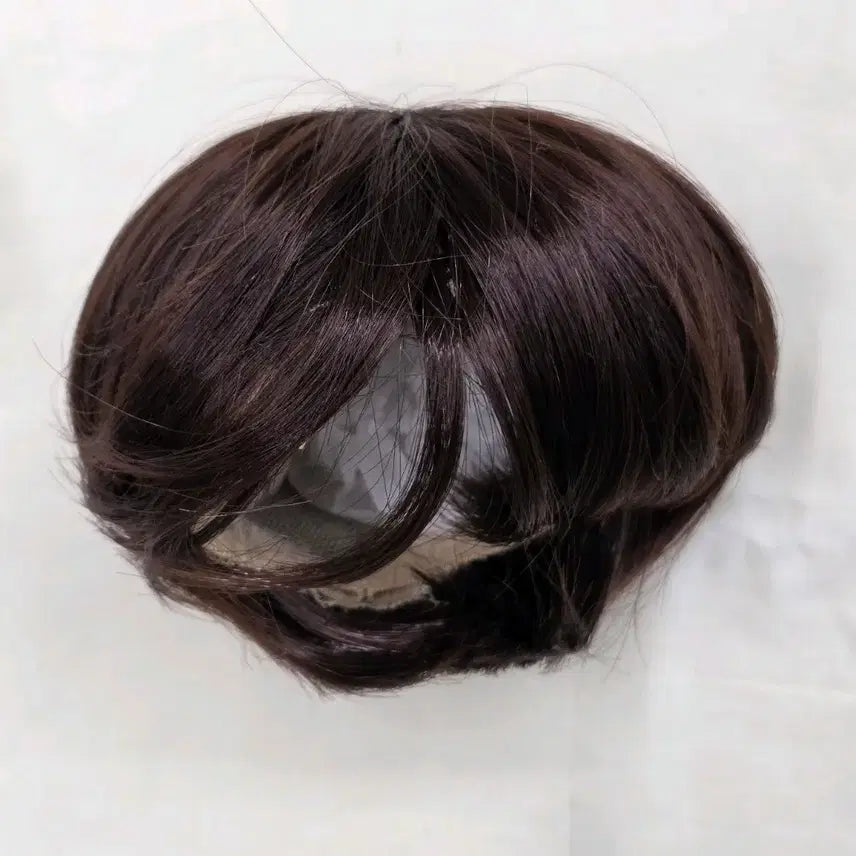 [BUNJANG] SD Doll Wig (8-9 inch) - Reddish Brown Short Cut / 구체관절인형 큰SD(8~9인치) 가발