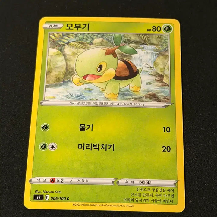 [BUNJANG] Vintage Pokemon Card - Turtwig / 고전 포켓몬 카드 모부기