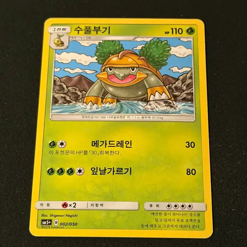 [BUNJANG] Bulbasaur Classic Pokemon Card / 수풀부기 고전 포켓몬 카드