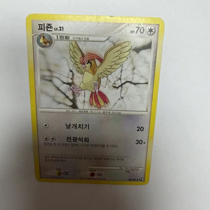 [BUNJANG] Pigeon Pokémon Cards / 피죤 포켓몬카드