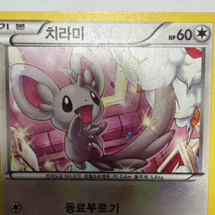 [BUNJANG] Pokemon Card (Chirami) / 치라미 포켓몬카드
