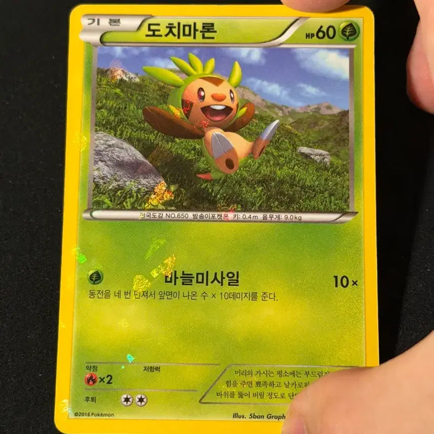 [BUNJANG] Vintage Pokemon Card Chespin Holo / 고전 포켓몬카드 도치마론 홀로