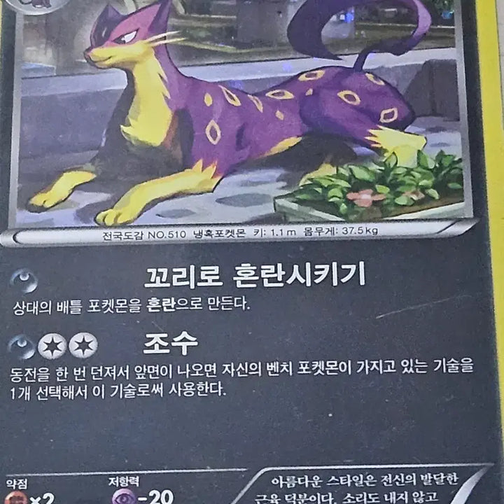 [BUNJANG] Pokemon Card - Liepard R (042/059) / 포켓몬카드 레파르다스 042/059 R