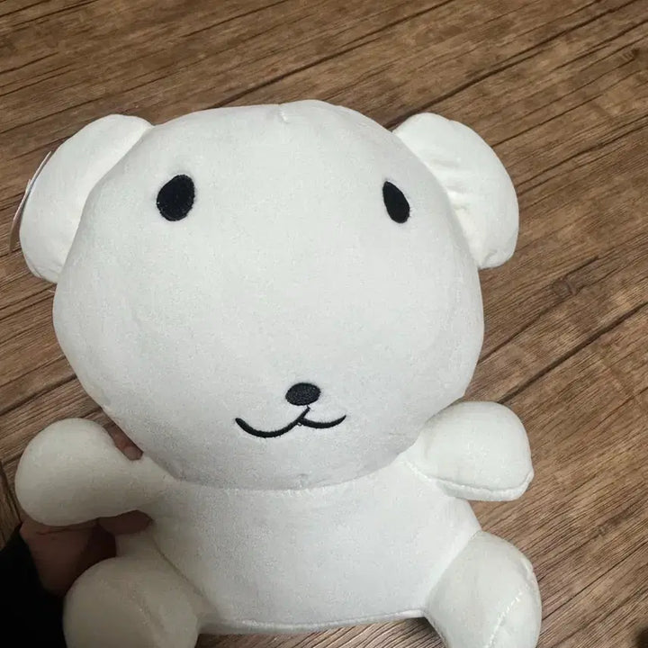 [BUNJANG] Ganadi Large Plush / 가나디 인형 대형