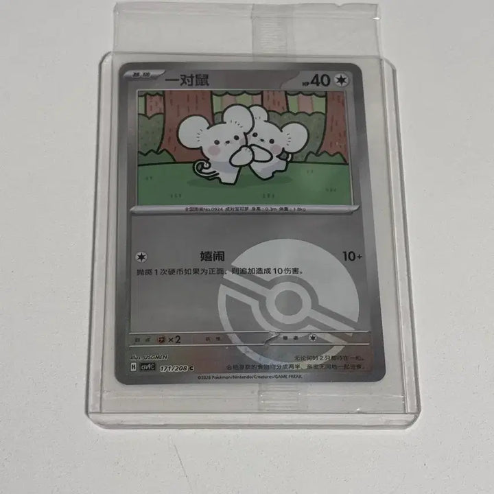 [BUNJANG] Pokemon Card Rattata Reverse Holo (Korean Edition) / 포켓몬카드 중판 두리쥐 미러 홀로 카드
