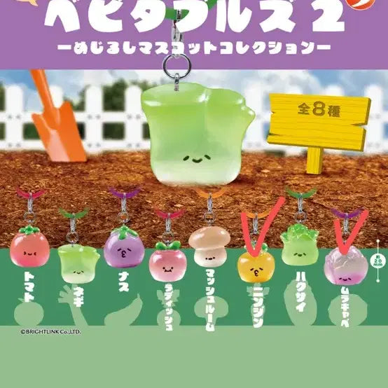 [BUNJANG] Vegetable Brand Red Cabbage &amp; Carrot Bundle / 야채 메지루시 적양배추&amp;당근 일괄