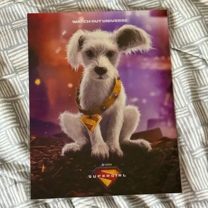 [BUNJANG] Lotte Cinema Special Edition Supergirl Signature Art Card / 롯데시네마 영화특전 슈퍼걸 시그니처 아트카드