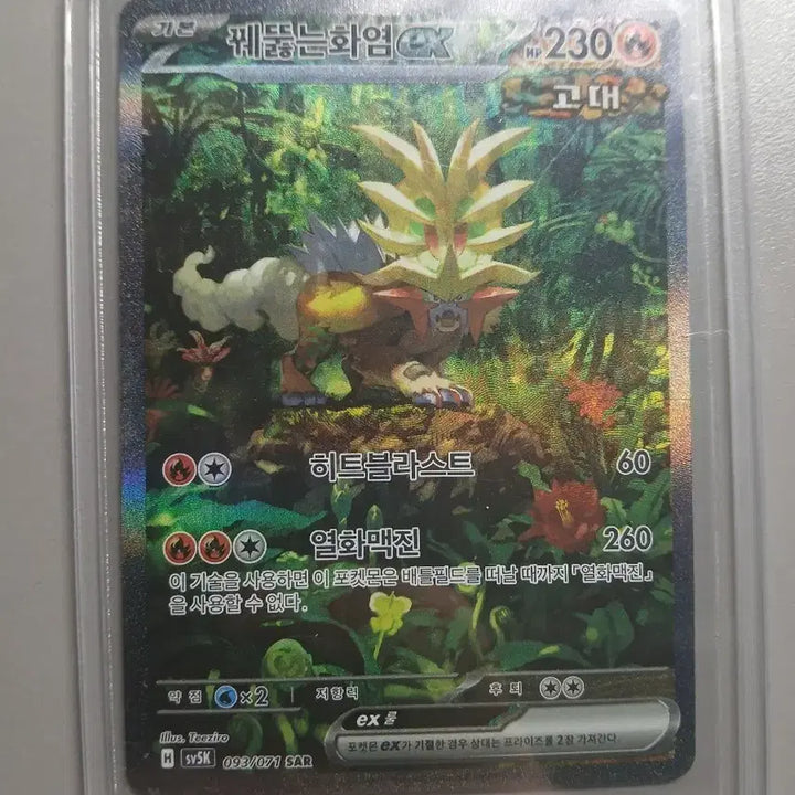 [BUNJANG] Pokemon Card Blazing Flame EX SAR / 포켓몬카드 꿰뚫는화염 EX SAR 와일드포스 수록