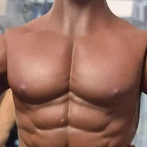 [BUNJANG] HHMODEL HAOYUTOYS Spartacus "Doctore" Oenomaus 1/6 Scale Figure / 드라마 스파르타쿠스 "독토레" 흑인교관 1/6 피규어 HH18063 팝니