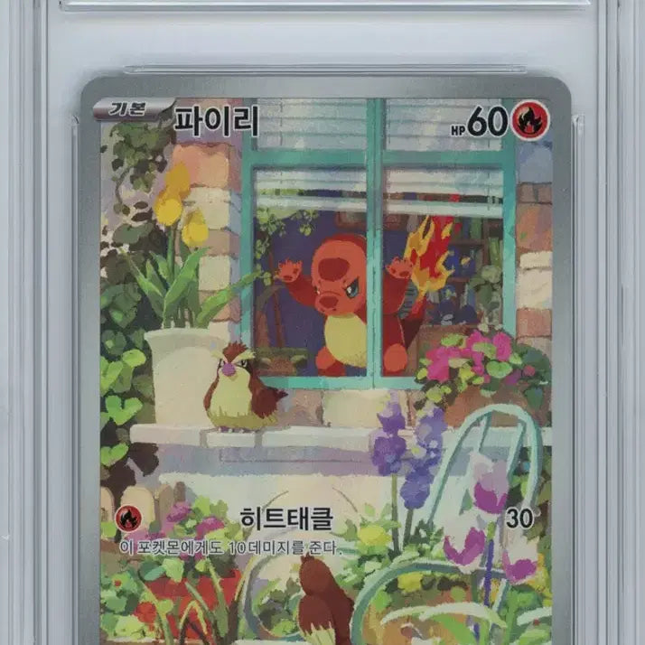 [BUNJANG] Pokemon Special Deck Set AR Numbered / 포켓몬 스페셜 덱 세트 ar 연번