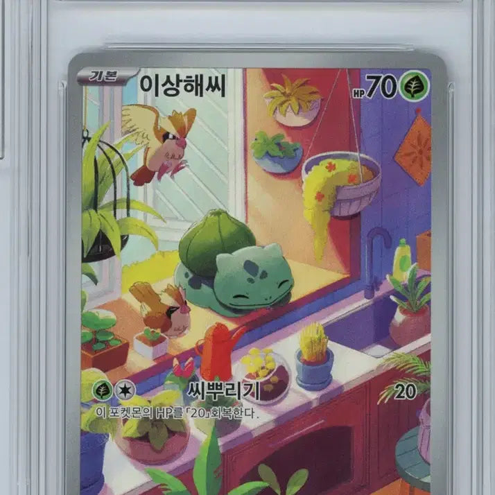 [BUNJANG] Pokemon Special Deck Set AR Numbered / 포켓몬 스페셜 덱 세트 ar 연번