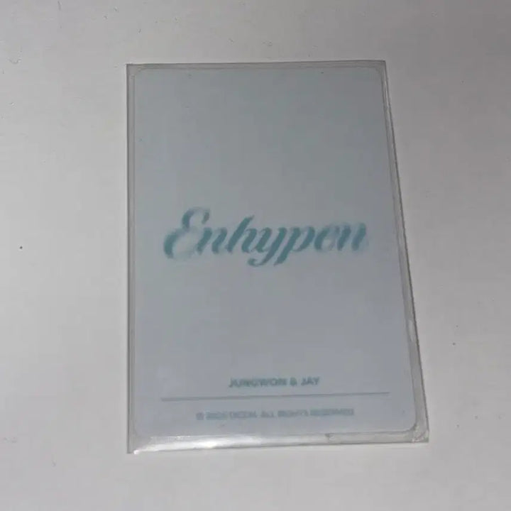 [BUNJANG] ENHYPEN Dicon Meow-z Jay Jungwon Photocard / 엔하이픈 디아이콘 야옹즈 제이 정원 포카