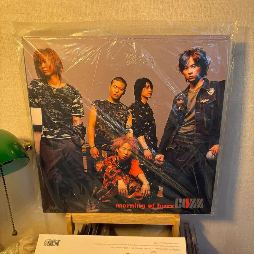 [BUNJANG] Buzz Official Albums Vol. 1 &amp; 3 LP (Unsealed) / Buzz 정규1집,3집 LP 단순개봉