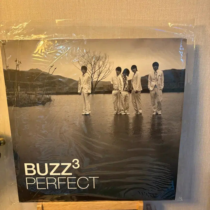 [BUNJANG] Buzz Official Albums Vol. 1 &amp; 3 LP (Unsealed) / Buzz 정규1집,3집 LP 단순개봉