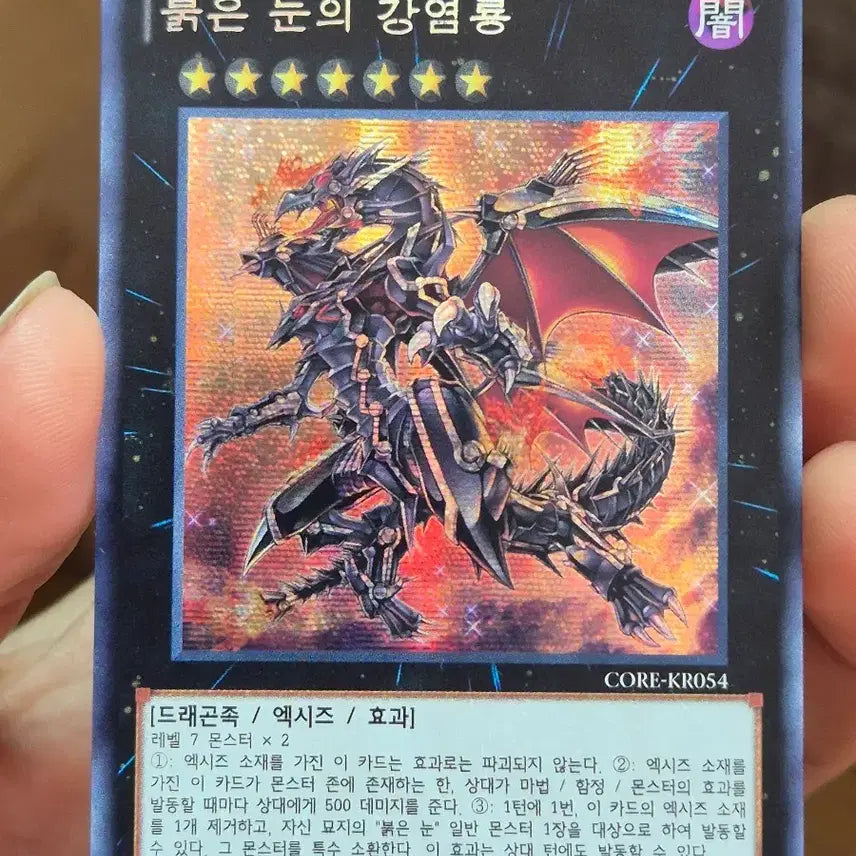 [BUNJANG] Yu-Gi-Oh! Red-Eyes Darkness Metal Dragon Premium Gold Rare / 유희왕 붉은 눈의 강염룡 퍼에시크