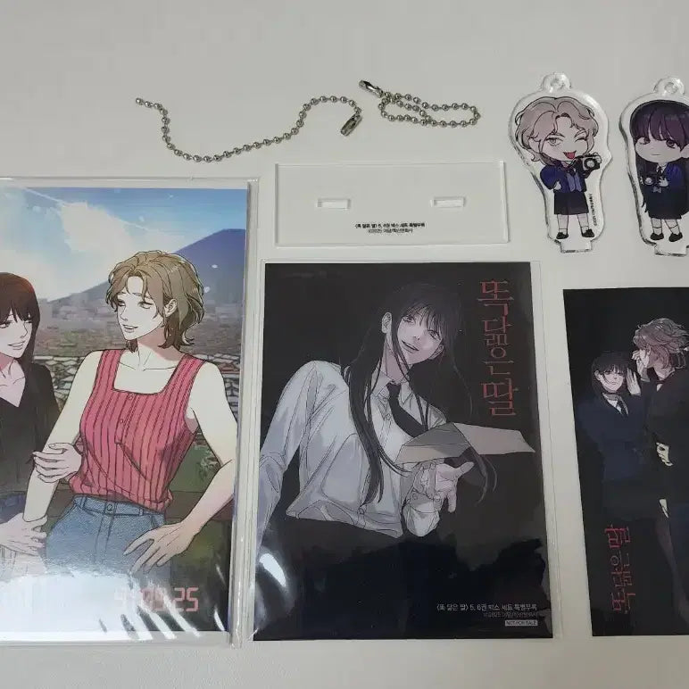 [BUNJANG] Tokdamneun Ttal Volume 5-6 Box Set with Special Bonus Goods Bundle Set / 똑닮은딸 5,6권 박스세트 특별부록 굿즈 일괄