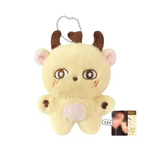 [BUNJANG] Park Jihoon Sosimi Doll / 박지훈 소심이 인형 판매