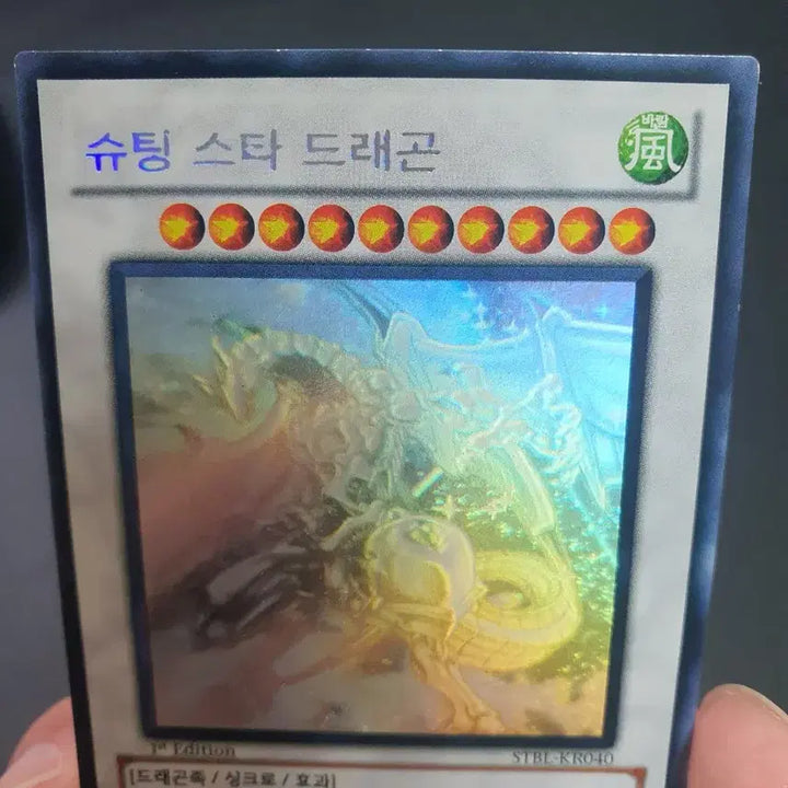 [SOLD OUT] 슈팅스타드래곤 홀로