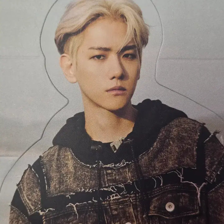 [BUNJANG] Baekhyun Goods Bundle Set / 백현 BAEKHYUN 굿즈