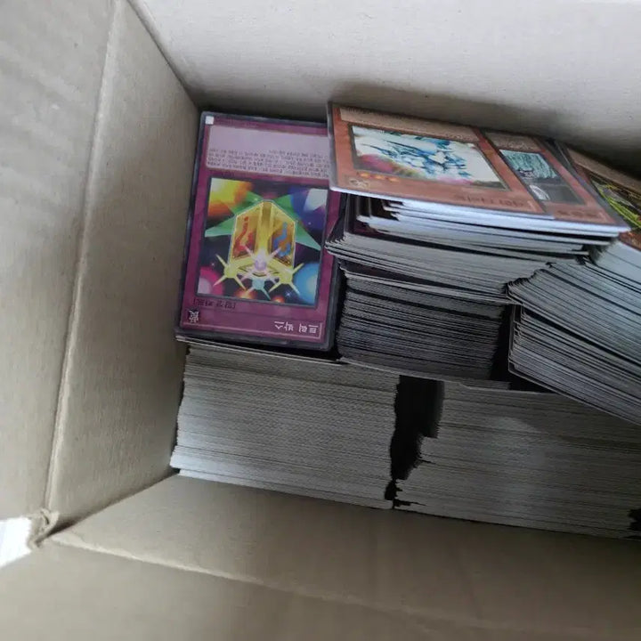 [BUNJANG] Yu-Gi-Oh! Card Bundle / 유희왕 카드 팔아요