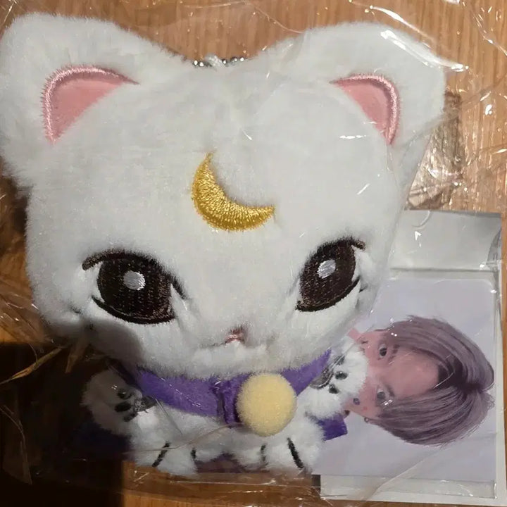 [BUNJANG] Xikers Yechan Plush / xikers plush yechan 싸이커스 인형 달마 예찬 양도