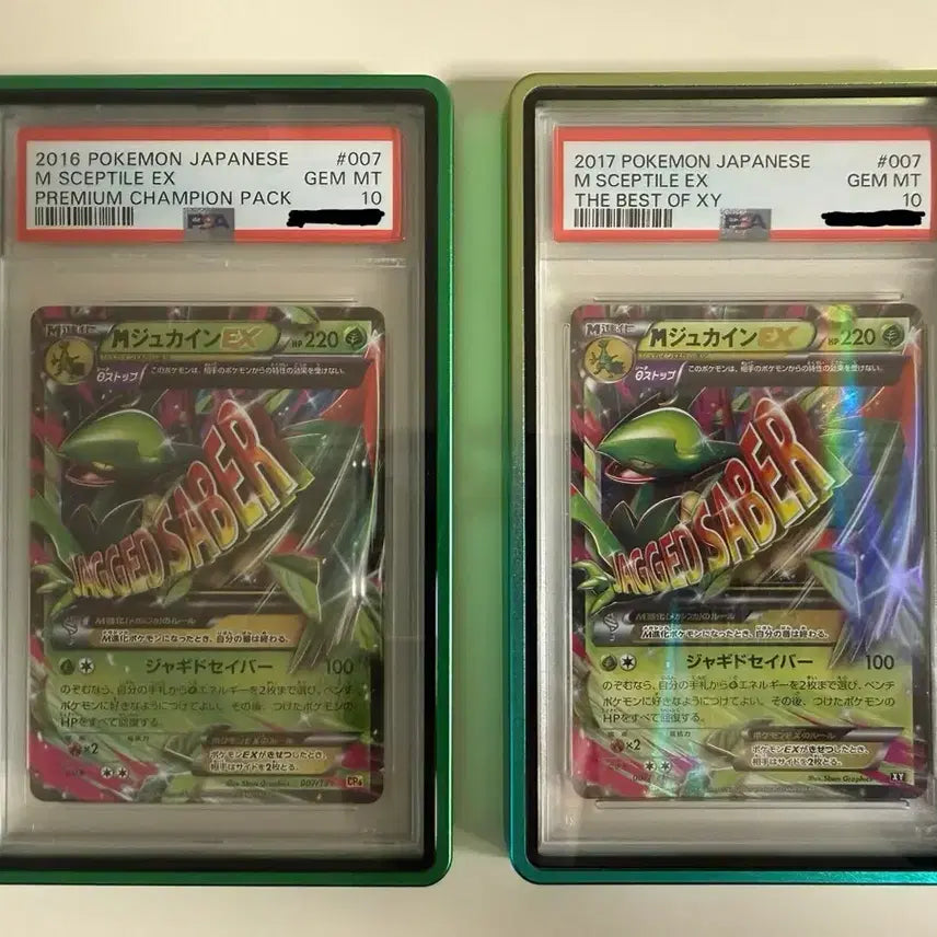[BUNJANG] Pokémon Card Trevenant PSA 10 Bundle Set (Case Included) / 포켓몬카드 나무킹 psa10 (케이스 포함)