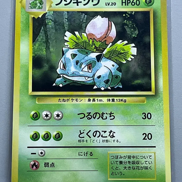[BUNJANG] 1996 Japan 1st Edition Pokemon Bulbasaur &amp; Ivysaur Bundle / 일본 초판 1996년 포켓몬카드 이상해씨,이상해풀 일괄