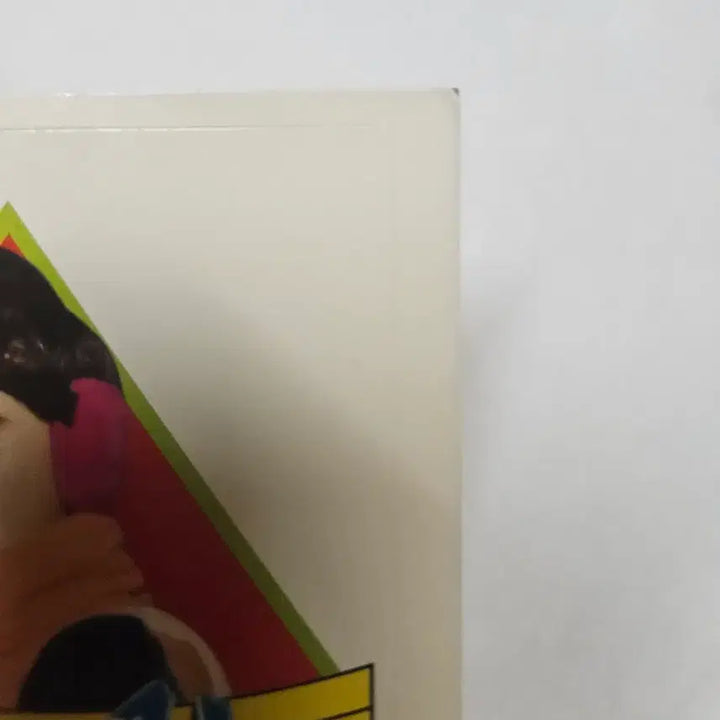 [BUNJANG] H.O.T. Lee Jae Won 90s Stationery Sticker / 가수 그룹 h.o.t 에쵸티 이재원 90년대 문방구 고전 스티커