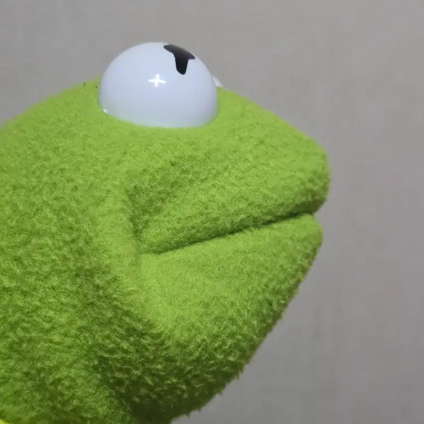 [BUNJANG] Vintage Kermit the Frog Puppet Doll / 빈티지 커밋 퍼펫 인형