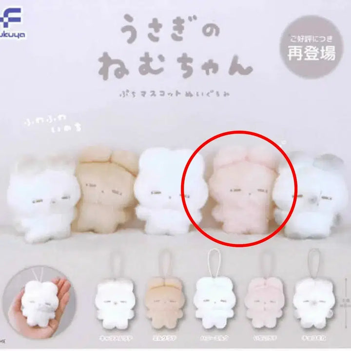 [BUNJANG] Usagino Nemu Chan Rabbit Plush / 우사기노 네무짱 토끼 인형 가챠