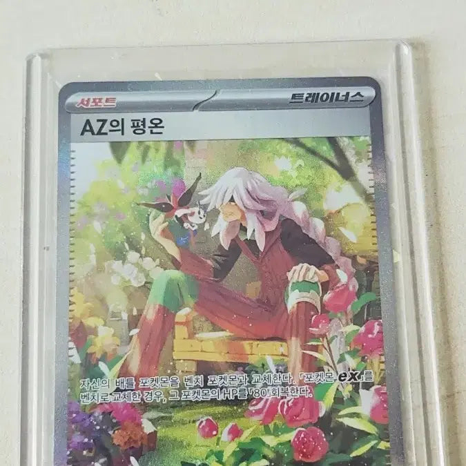 [BUNJANG] Pokemon Cards SR + SAR Bundle Set / 포켓몬카드 sr+sar일괄
